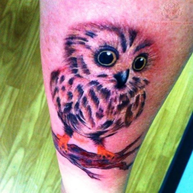 Cute Baby Owl Tattoo - Owl Tattoos <3 <3