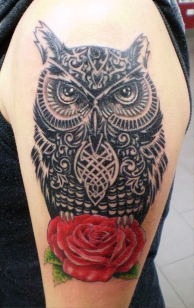 Owl with Roses Tattoo Meaning - Owl Tattoos <3 <3