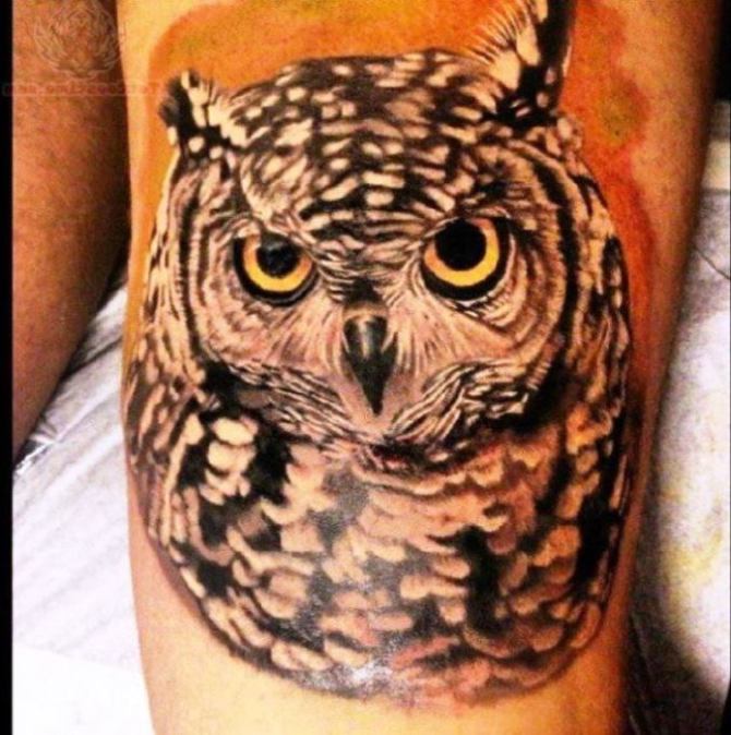 Realistic Owl Tattoo - Owl Tattoos <3 <3