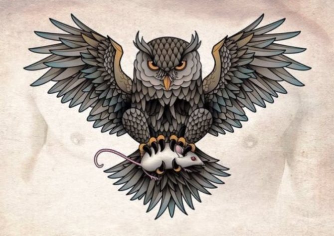 Colored Owl Tattoo Sketches - Owl Tattoos <3 <3
