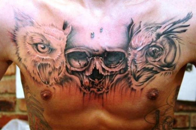 Skull Owl Tattoo - Owl Tattoos <3 <3