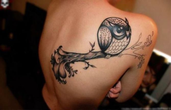 Owl Tattoo on Back - Owl Tattoos <3 <3