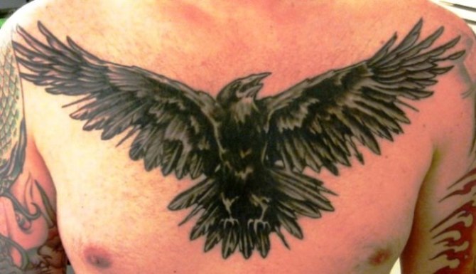 Raven Tattoo on Chest - Raven Tattoos <3 <3