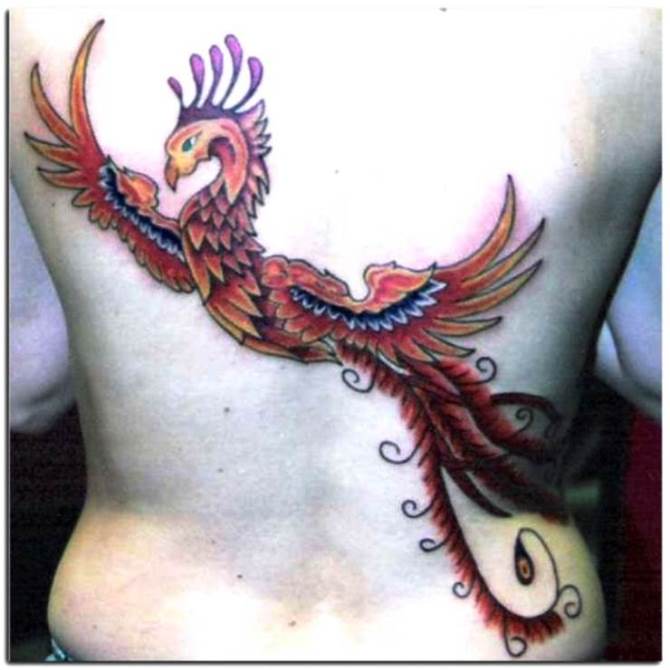 Phoenix Tattoo - Phoenix Tattoos <3 <3