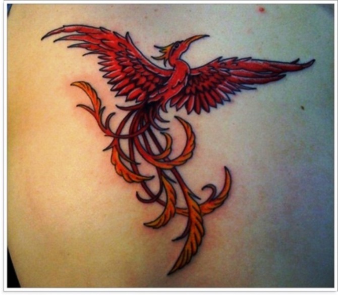 Phoenix Tattoo on Arm - Phoenix Tattoos <3 <3
