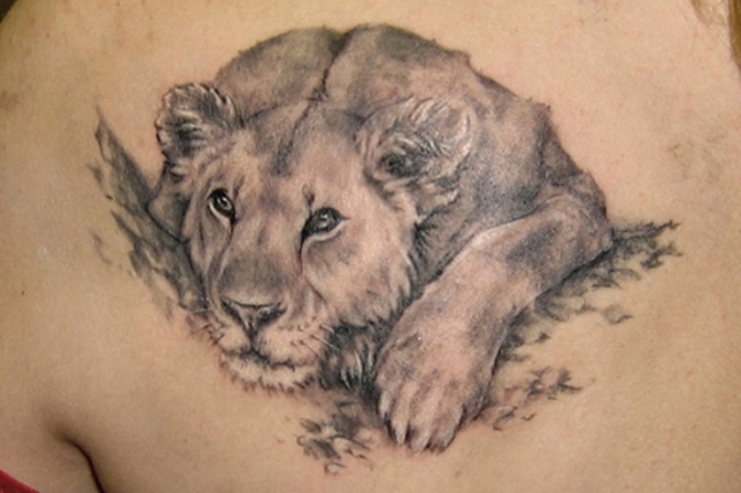 Tattoo Lion - Lion Tattoos <3 <3