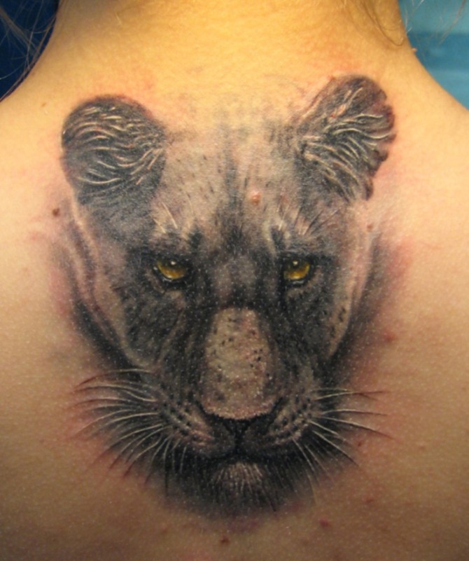 Tattoo Lioness - Lion Tattoos <3 <3