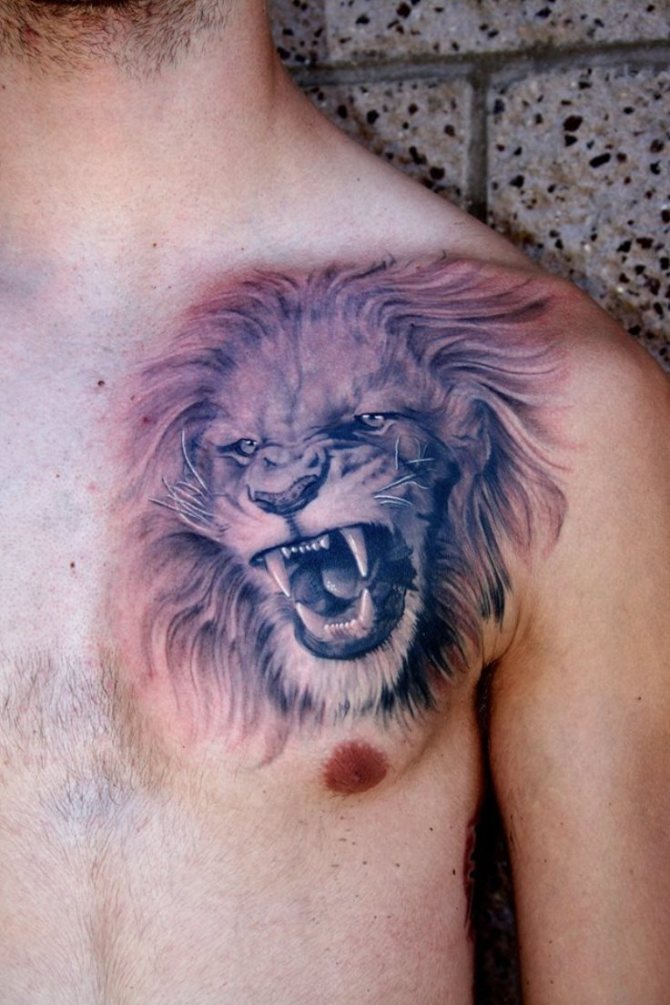  Lion Tattoo on Forearm - Lion Tattoos <3 <3