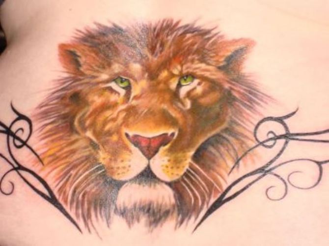  Lion Tattoo Back - Lion Tattoos <3 <3