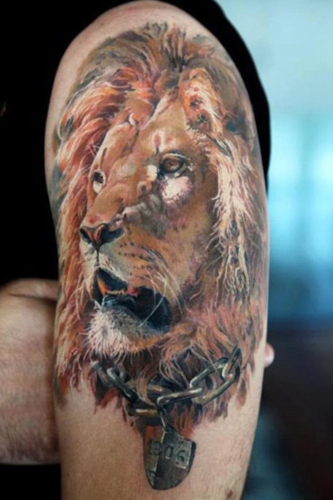 Tattoo on Shoulder Men - Lion Tattoos <3 <3