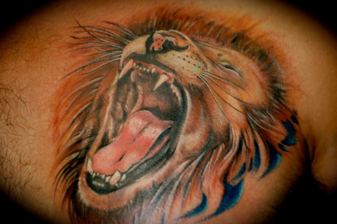  3d Lion Tattoos on Chest - Lion Tattoos <3 <3