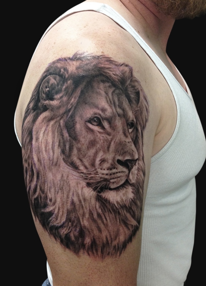 Lion Tattoo - Lion Tattoos <3 <3