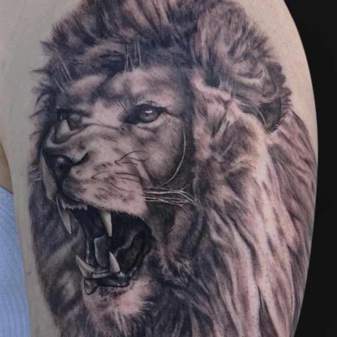 Tattoo Lion Arm - Lion Tattoos <3 <3