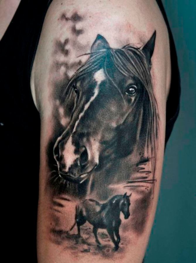 07 Horse Head Tattoo Pictures - 20 Horse Tattoos