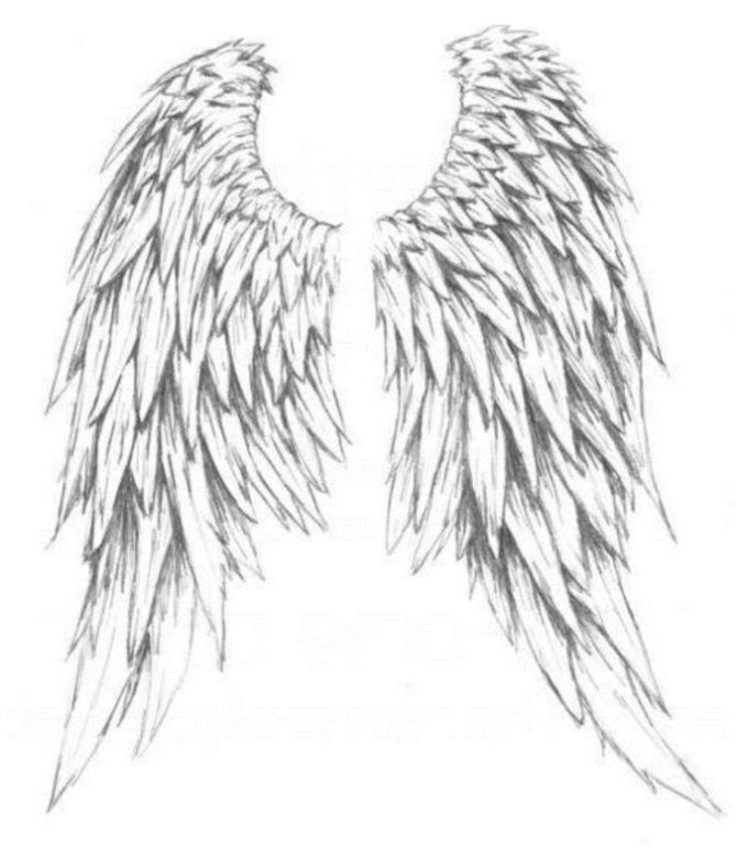  Angel Wings Drawing Tattoo - 20+ Wings Tattoos <3 <3