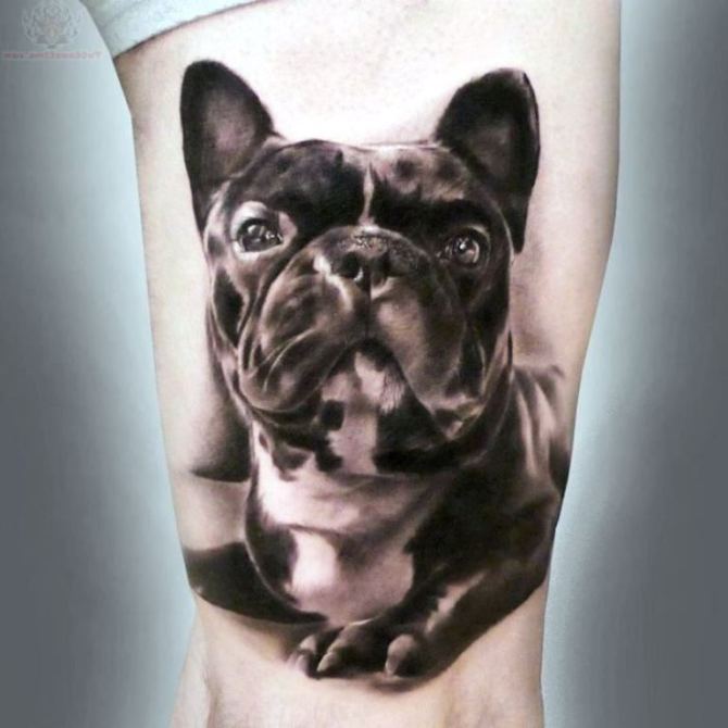 02 Black Dog Tattoo