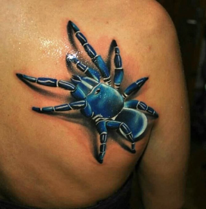  3d Tattoo - Spider Tattoos <3 <3