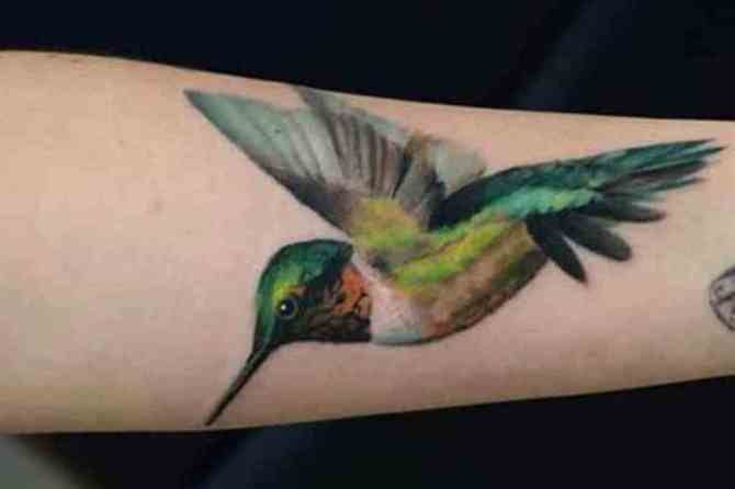 Rainbow Hummingbird Tattoo