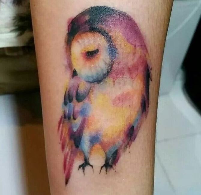 Rainbow Owl Tattoo