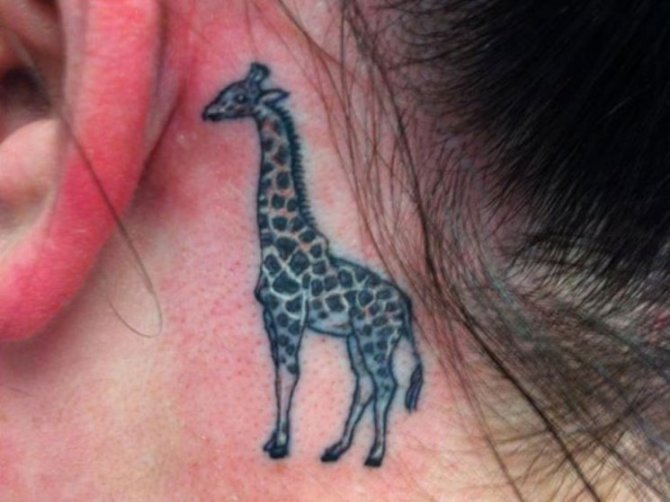 12-giraffe-tattoo-behind-ear