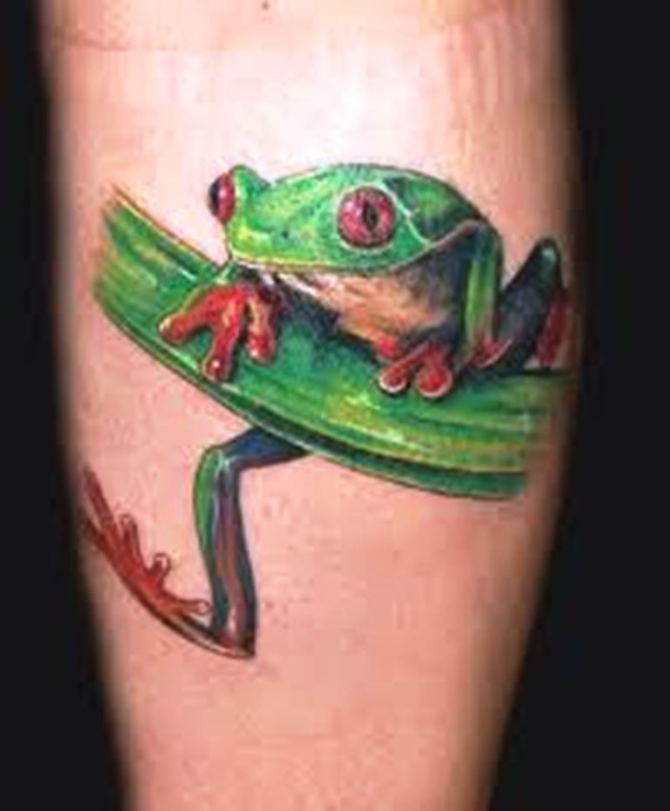 14 Frog Tattoo Drawing - 40 Frog Tattoos