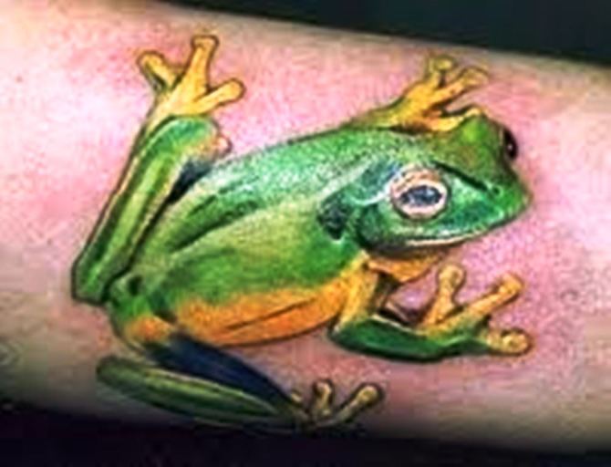 17 Green Frog Tattoo on Arm - 40 Frog Tattoos