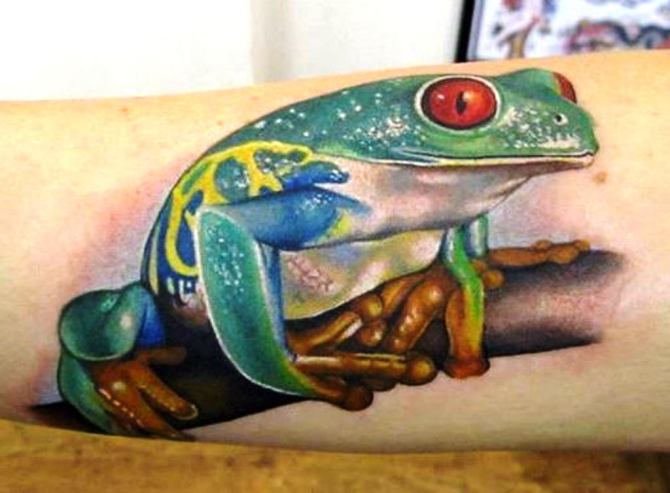 25 Red Eyed Tree Frog Tattoo - 40 Frog Tattoos