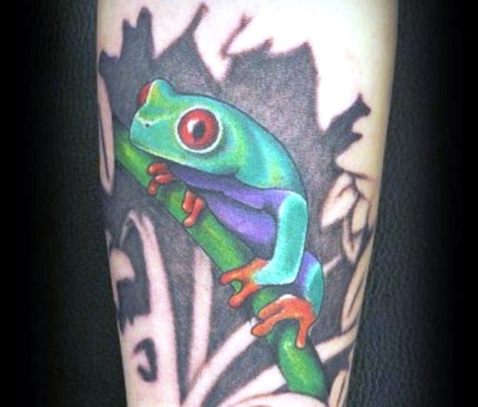 3 Tree Frog Tattoo - 40 Frog Tattoos