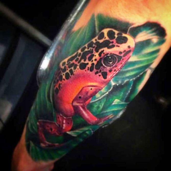 36 Tree Frog Tattoo Images - 40 Frog Tattoos