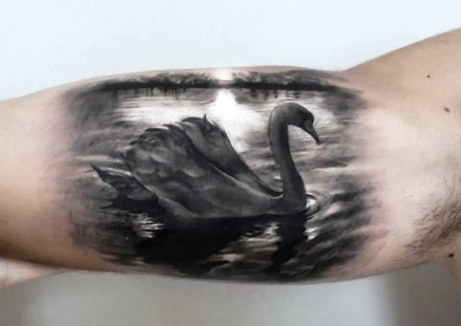 03 Black Swan on Arm - 25 Swan Tattoos