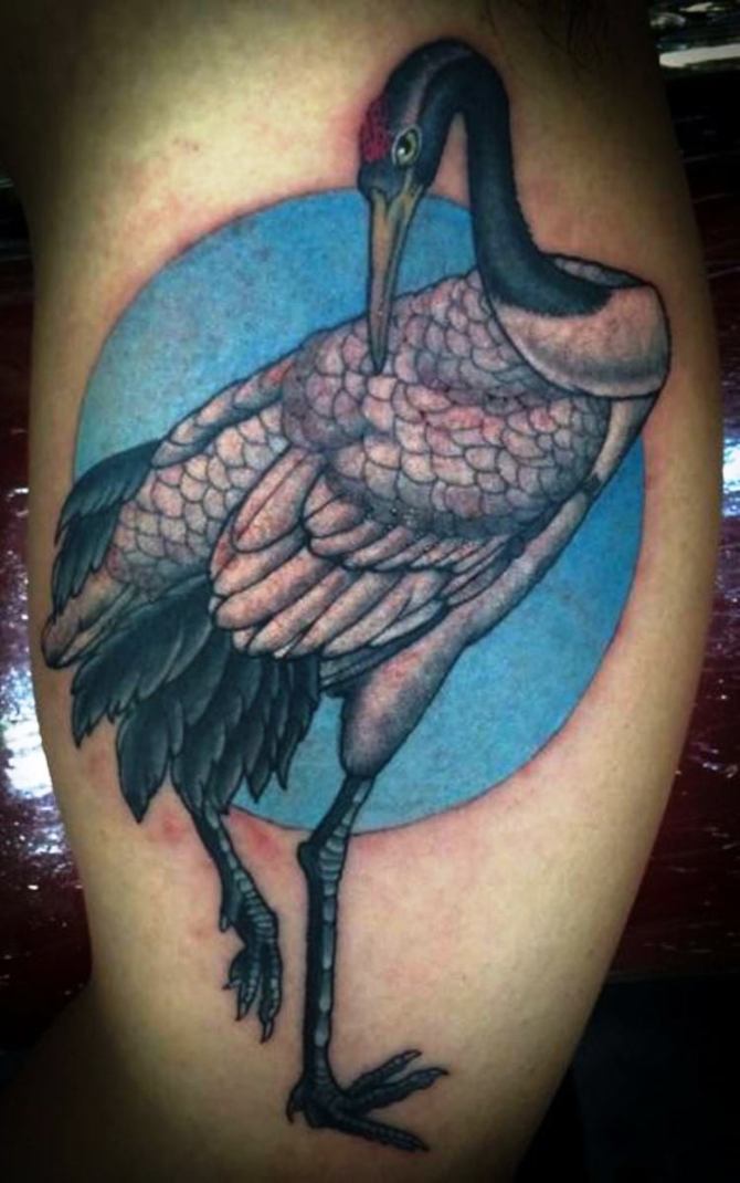 04 Black Swan Tattoo Designs - 25 Swan Tattoos
