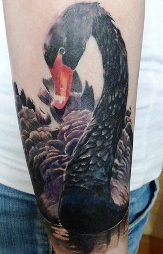 10 Sleeve Tattoo Black Swan - 25 Swan Tattoos