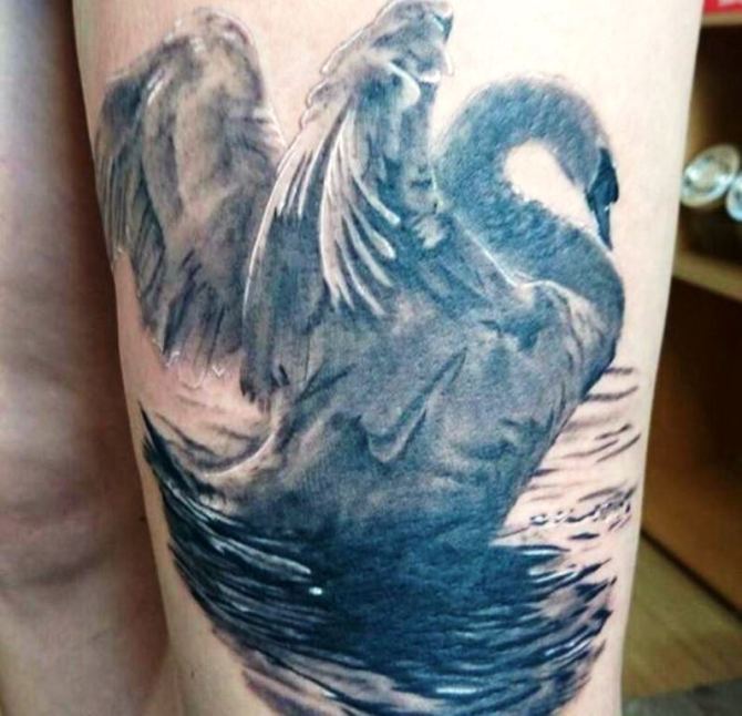 13 Swan Lake Tattoo - 25 Swan Tattoos
