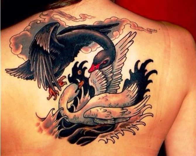 14 Swan Tattoo Designs Women - 25 Swan Tattoos