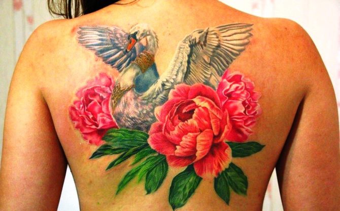 16 Swan Tattoo Ideas - 25 Swan Tattoos