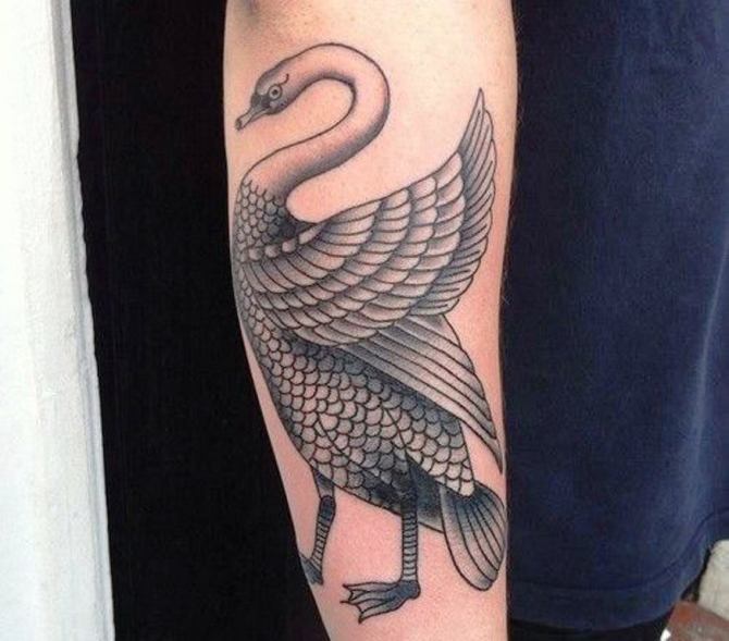 20 Tattoo Black Swan - 25 Swan Tattoos