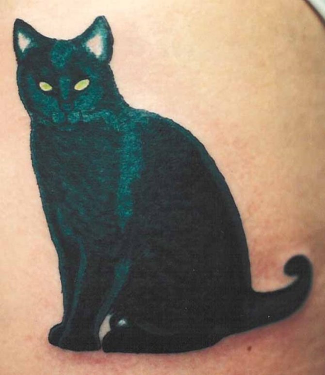 Black Cat Tattoo Design