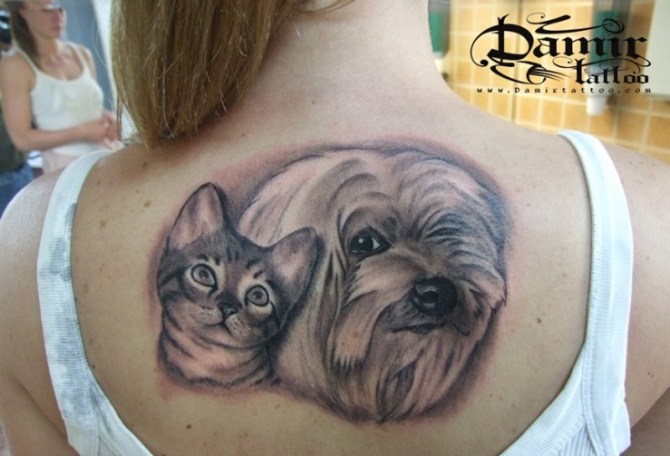 Cat Tattoo Artist