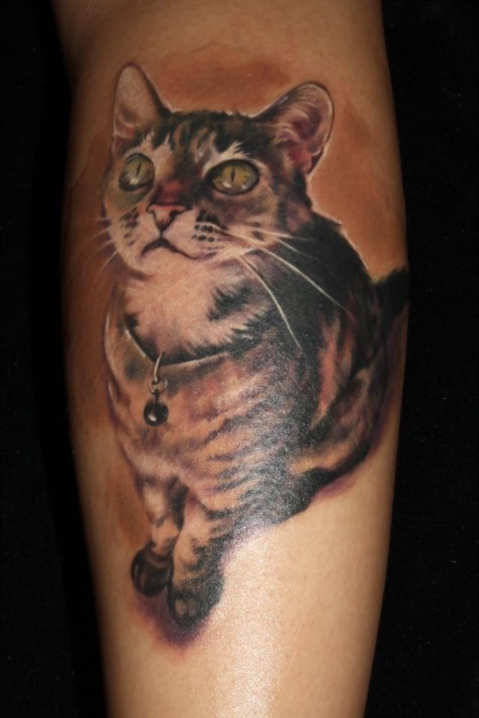 Realistic Cat Tattoo