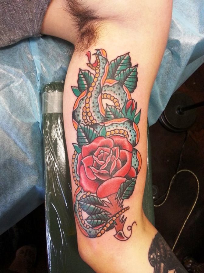 Snake and Rose Tattoo