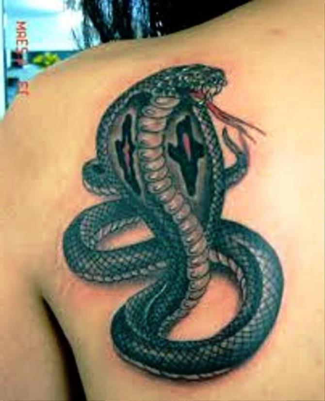 Snake Tattoo Designs