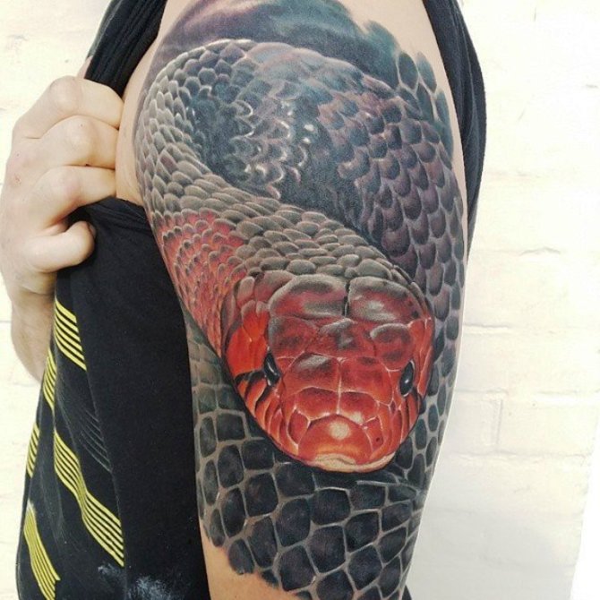 Snake Tattoo 3d