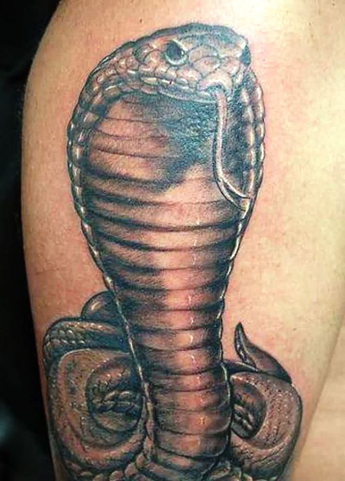 Snake Tattoo