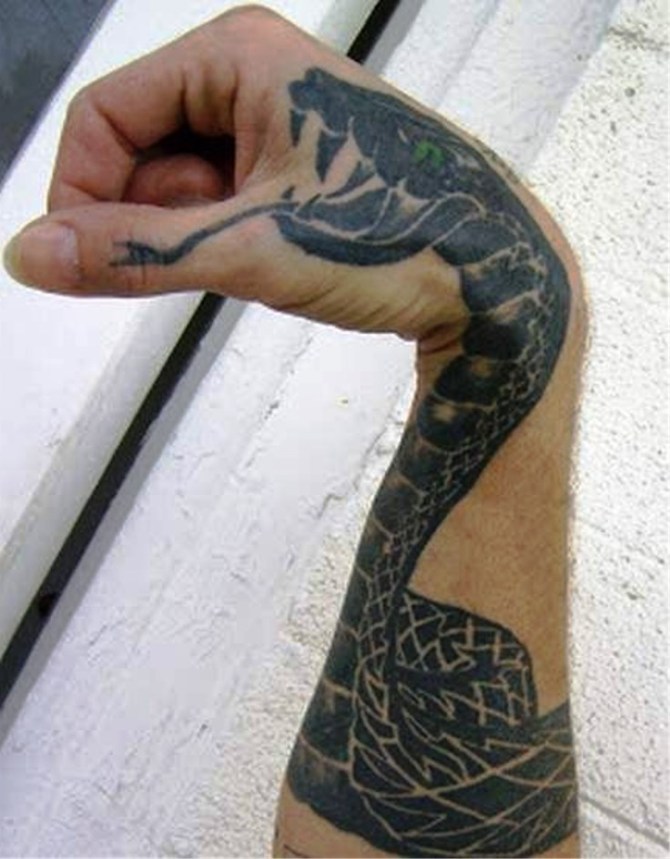 Snake Tattoo on Arm