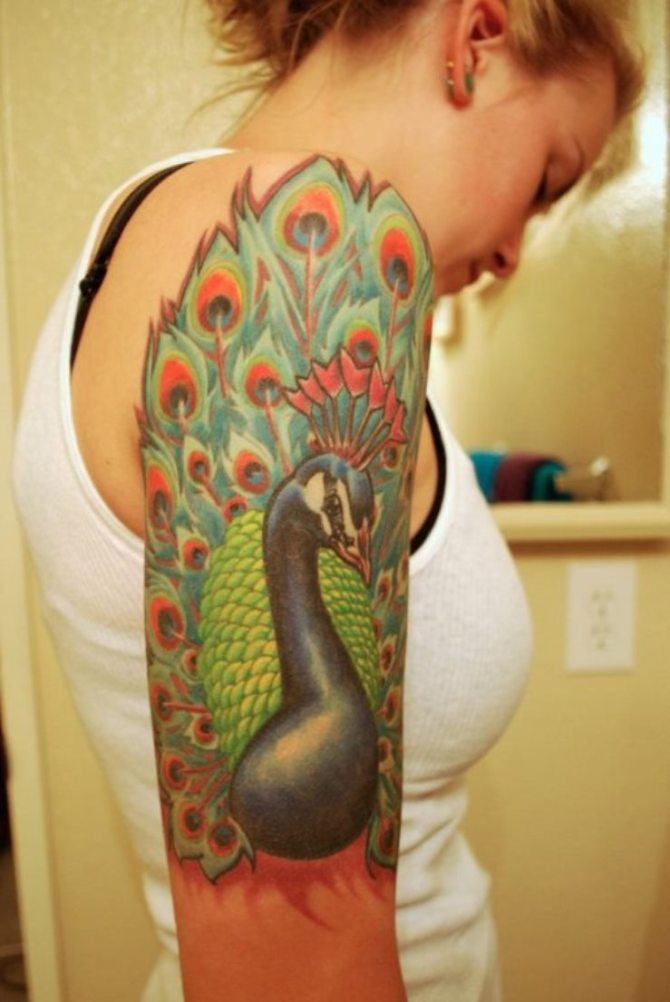 Peacock Tattoo on Arm