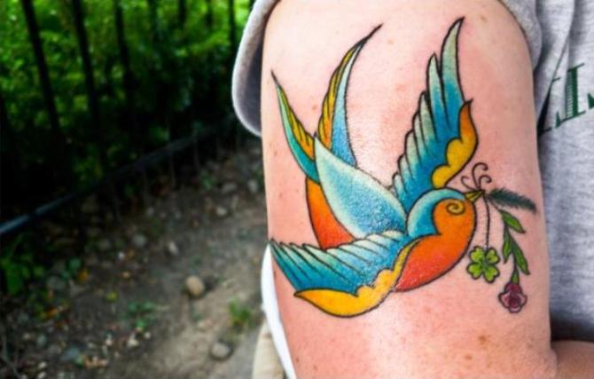 Coloured Swallow Tattoo