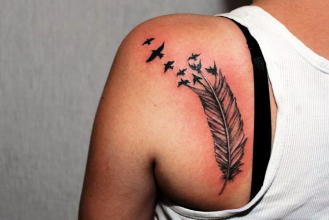 Feather Swallow Tattoo