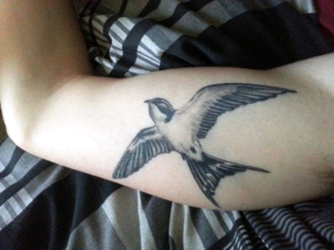 Swallow Arm Tattoo