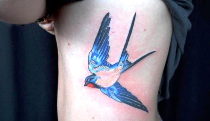 Swallow Bird Tattoo Designs