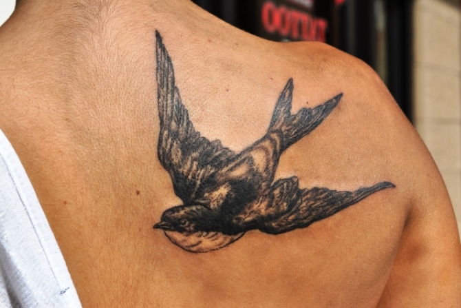 Swallow Shoulder Tattoo